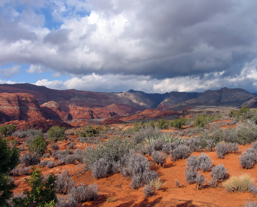 The Ledges of St George